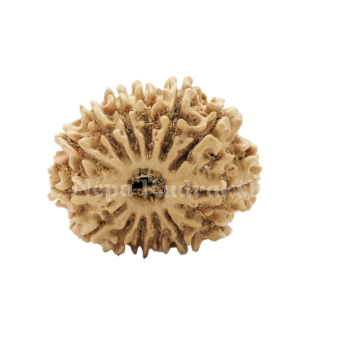 Et doloribus fuga D 3