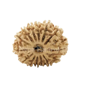 Et doloribus fuga D thumb 3